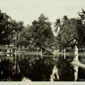 Imagem padrão