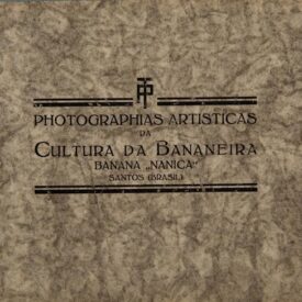 Imagem padrão