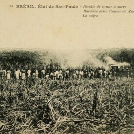 Imagem padrão